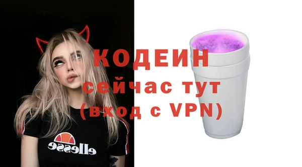 прущий лед Алзамай