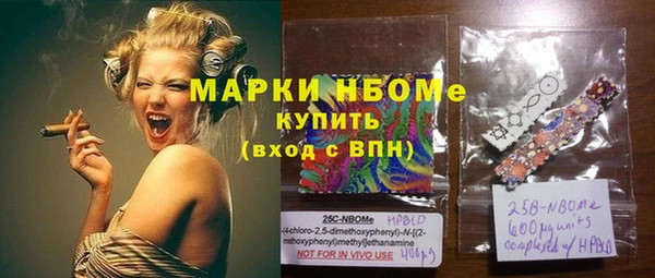 прущий лед Алзамай