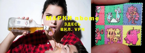 прущий лед Алзамай