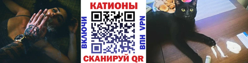 где можно купить   Кириллов  МЯУ-МЯУ 4 MMC 