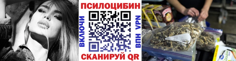 Псилоцибиновые грибы Psilocybe  Кириллов 