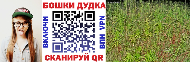 Конопля MAZAR  Кириллов 
